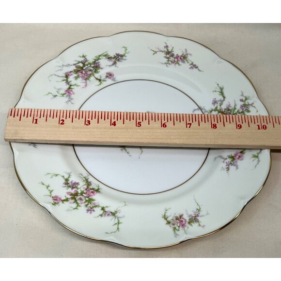 2 Theodore Haviland New York Rosalinde Dinner Plates France 10 1/2" - Picture 5 of 7